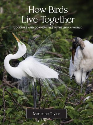 cover image of How Birds Live Together